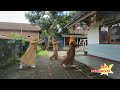 Senam Kreasi Tor Monitor Ketua Oleh Guru Tk Tormonitor Dance Anaktk Senamanak Senamkreasi