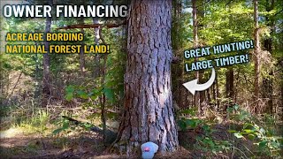 Owner Financed Land for Sale ON the National Forest in MO! Instant Owner Financing - ID#DB13