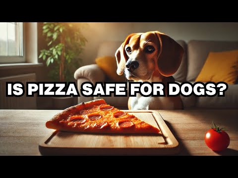 Can Dogs Eat Pizza? Explained