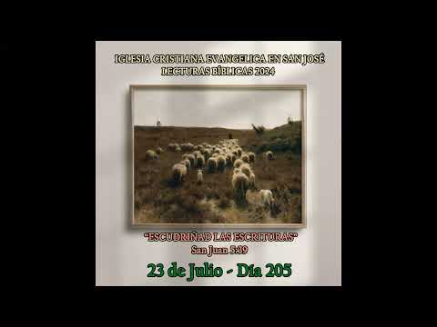 Devocional diario - 23 de Julio - Día 205