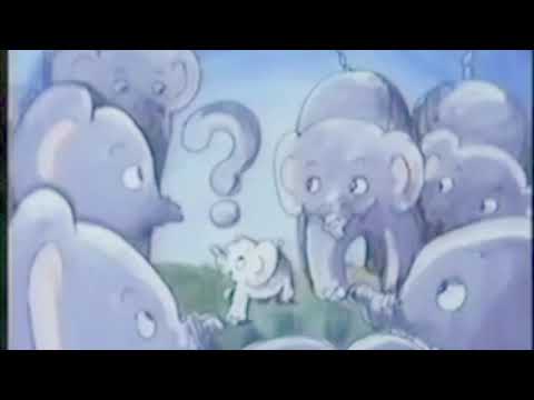 Augustus (boxboys) ~ curiosity