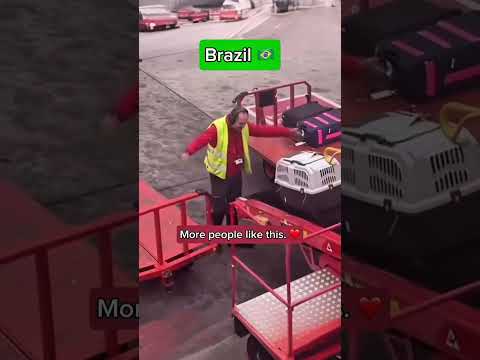 what your dog goes through after check-in… 🐶