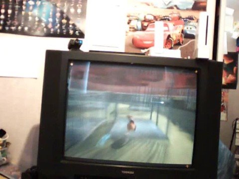 Dogs Life - The Dog Pound