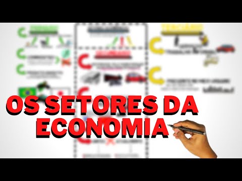 OS SETORES DA ECONOMIA | RESUMO DESENHADO #2