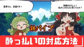 【ゆっくり実況】【危険】お酒に酔っ払った人に対応方法【あうんちゃんの お困りですよね!?霊夢さん!】