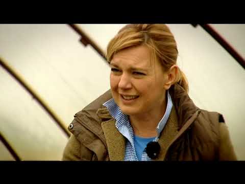 Gasztroangyal 18. rész – Spenót vagy sóska (2012)