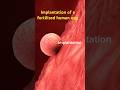 1st week of life. Implantation of a Fertilized Egg. #shortvideo #baby #pregnant August 27, 2024