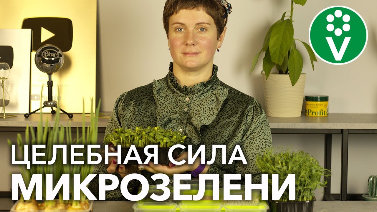 Магазин Растений Просветок Магазин Растений Просветок