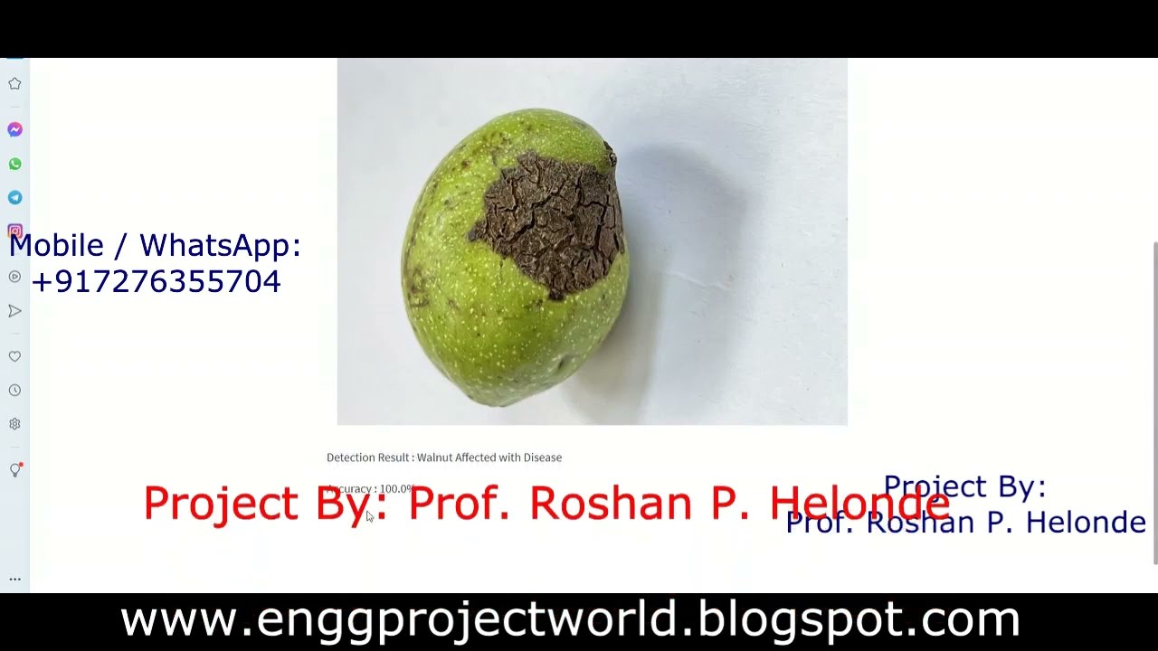 Walnut Disease Detection Using Image Processing Python Project With Source Code Fruit Disease Detect