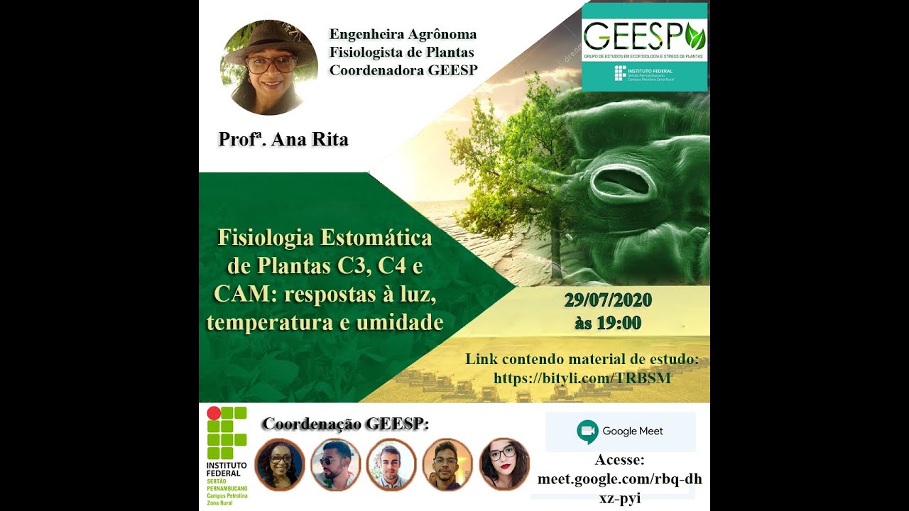 Fisiologia Estomática de Plantas C3, C4 e CAM: respostas a fatores abióticos - Profª Ana Rita