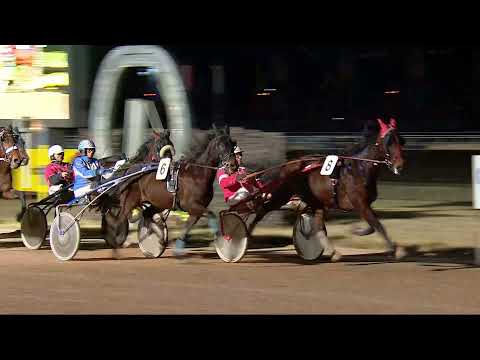 2021.12.31. 08. futam - PINTÉR TAMÁS "OROSZLÁN" EMLÉKVERSENY HENDIKEP