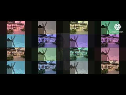 DÍA DEL IDIOMA - Jornada Tarde