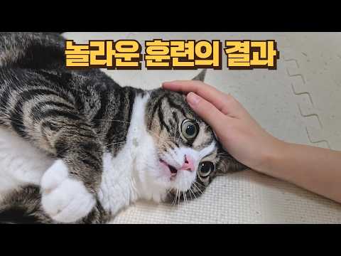 큰언니는 손도 못 대게 하는 정수리를 둔하게 만들어 만져보게 했더니