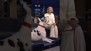 This Actresses Dog Shocked Everyone!!