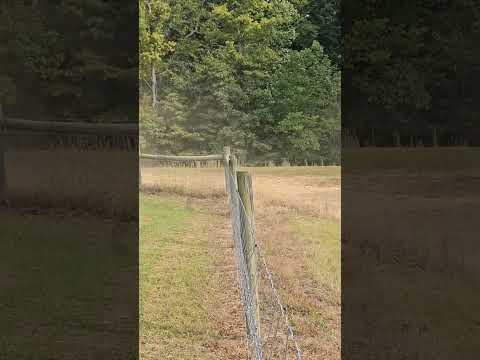 #HIREV#MX#ANITGRAVITY#NEWBIKE#JKS#TS125PRO#CROSSMOTOX#22#DIRTBIKE#QUALITYBIKEATHOOSIERPRICE