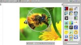 OpenBoard video