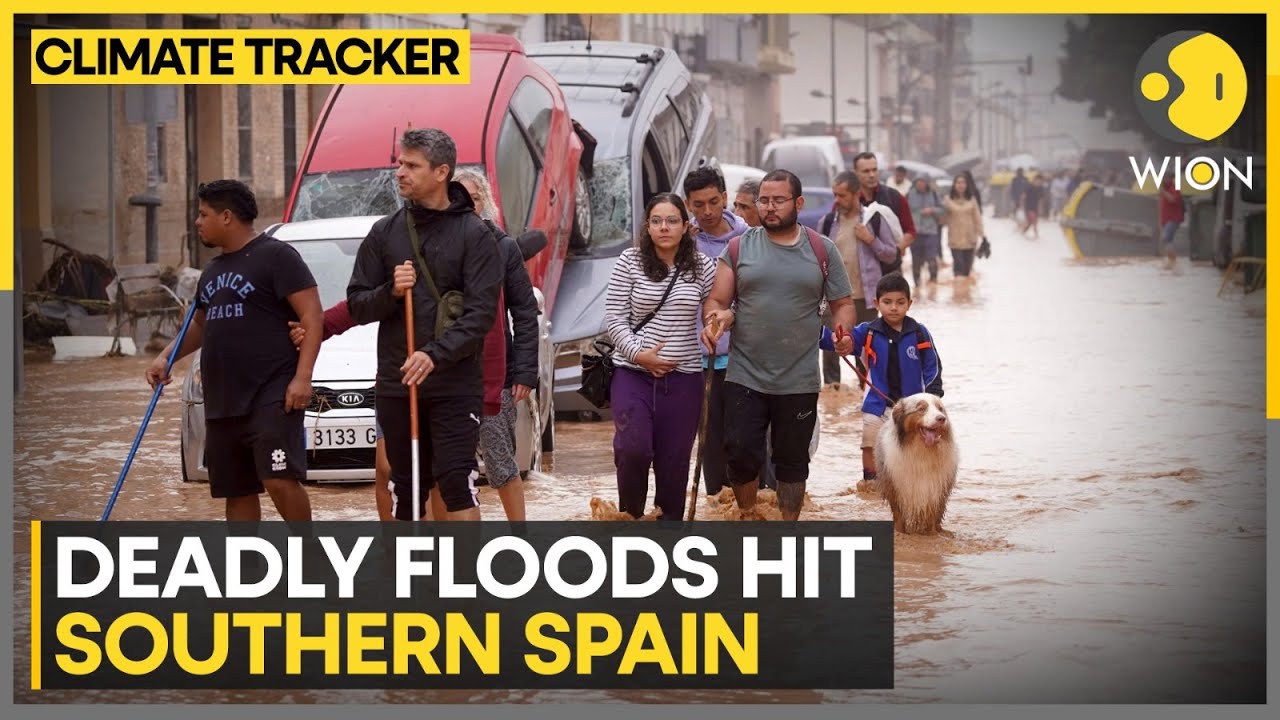 Spain Floods: Three Dead, Several Missing Amid Torrential Rains | WION Climate Tracker