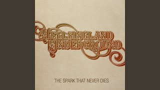 The Spark That Never Dies