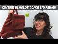 BEFORE AFTER HANDBAG REHAB VINTAGE COACH BAG IT WAS COVERED IN MOLD
