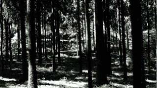 RAVENDANCE- Up From The Ashes