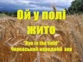 Ой у полі жито (Rye in the field) - Ukrainian folk song // by ...