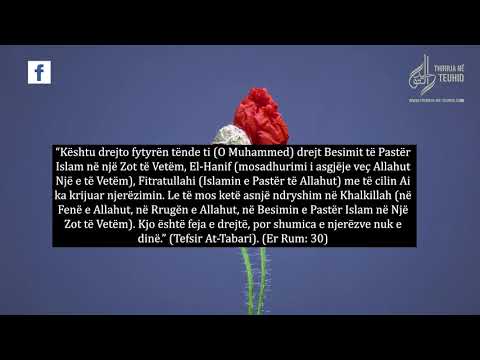 8. A është injoranca arsyetim në bazat e fesë?