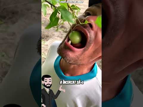 Avea un singur dinte… și a făcut asta 😳