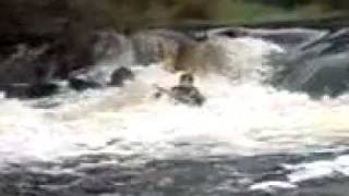 preview picture of video 'Banbridge Kayak and Canoe Club - River Bann'