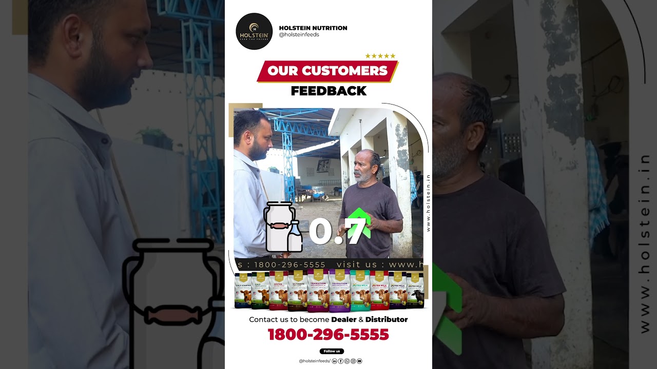 Holstein Testimonial Thumbnail