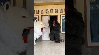 Download lagu Melky diganggu canmacanan grandong langsung marah mp3