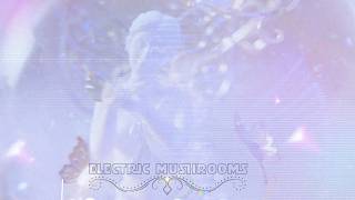 Electric Mushrooms | Experimental Short Film