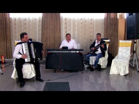 Nicusor Troncea si Marinel Purcelan - Colaj Instrumentala Botez Cornel Cojocaru (LIVE) SHOW