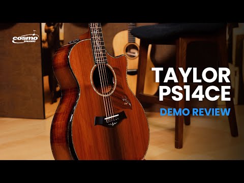 Taylor PS14ce w/ Ryan McMullen Demo Review