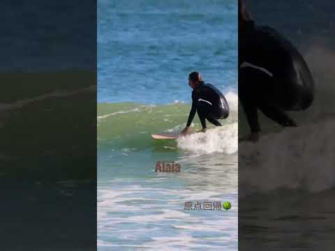 原点回帰🌳サーフィンの起源といわれるアライアで波に乗る#サーフィン #surf #alaia #shorts
