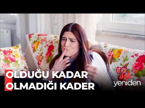 Şaziment'in, Birol Aşkı - Aşk Yeniden