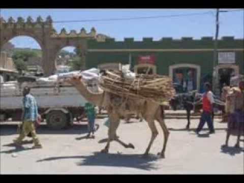 tsegaye eshetu dire harer) new 2013   YouTube