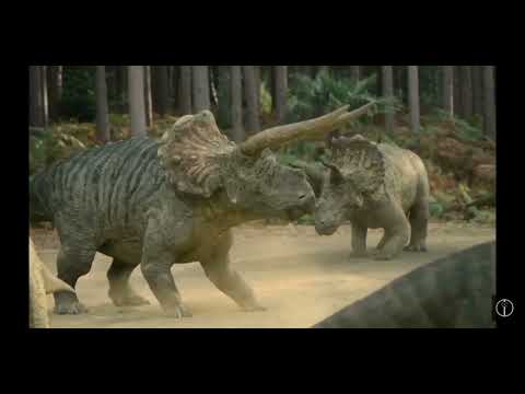 Triceratops Fight Scene (No Audio)