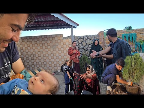 🌿 Another Day Without Workers 🏡 | Cleaning, Washing & Planting Trees with Hamid’s Family 🌳✨