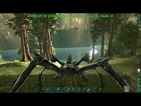 How to deal with Beach Bobs