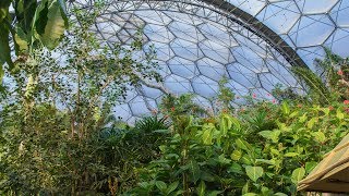 preview picture of video 'The Eden Project Rainforest and Mediterranean Biomes in Daylight and at Night'