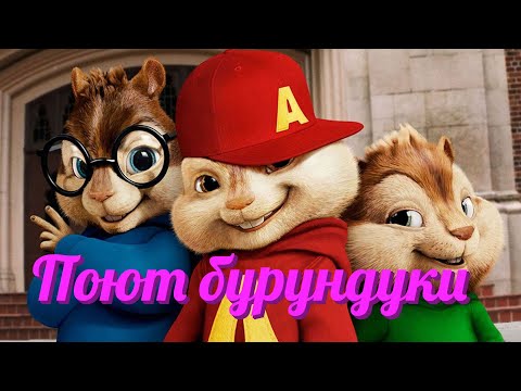 ШУТОЧНАЯ ПЕСНЯ БУРУНДУКОВ