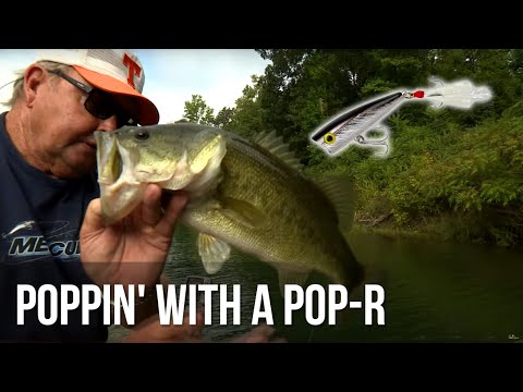 Poppin' with a Pop-R