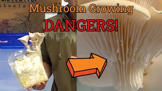 Dangers of Indoor Mushroom Growing & How to Avoid Them