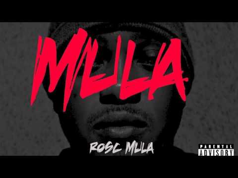 Mula