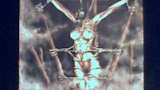 eisregen - meine tote russische freundin