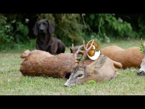 Bombige Strecke und eine zünftige Jagdrunde am Kamin in Masuren!