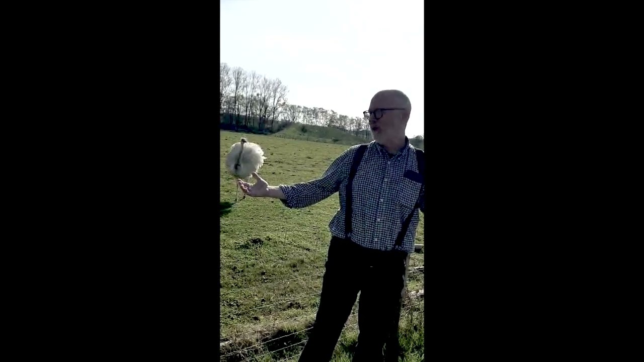 Home Safely After Completing