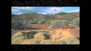 James Asher - Bedouin wedding