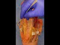 ANATOMIE FMPM DISSECTION CREUX POPLITE