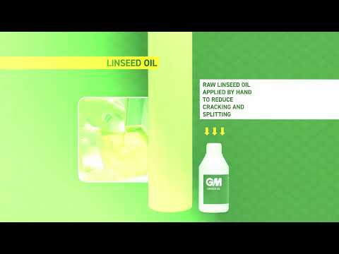 GM Psyche 606 Bat 6 YouTube video thumbnail image